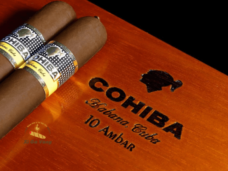 Một số loại xì gà có tên nhà máy và tên thị trường giống nhau